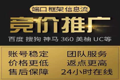 知名SEM代运营公司案例解析